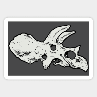 Triceratops Magnet